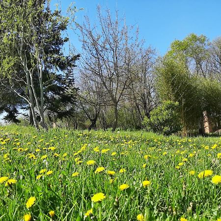 Chambre Soignee Et Accueillante A La Campagne - Ch. Jaune L'Honor-de-Cos エクステリア 写真